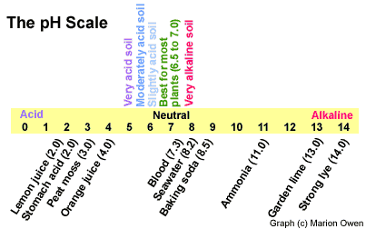 pH scale 