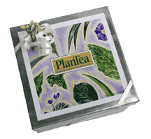 PlanTea organic fertilizer and garden gift